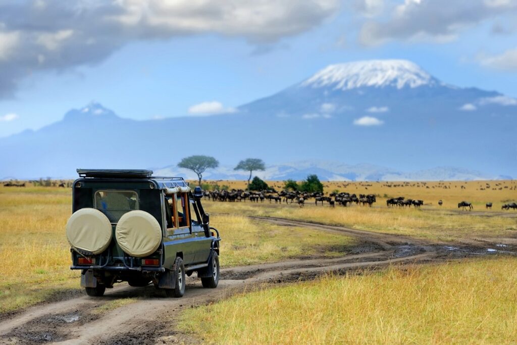 Quelles sont les meilleures destinations de safari au Kenya