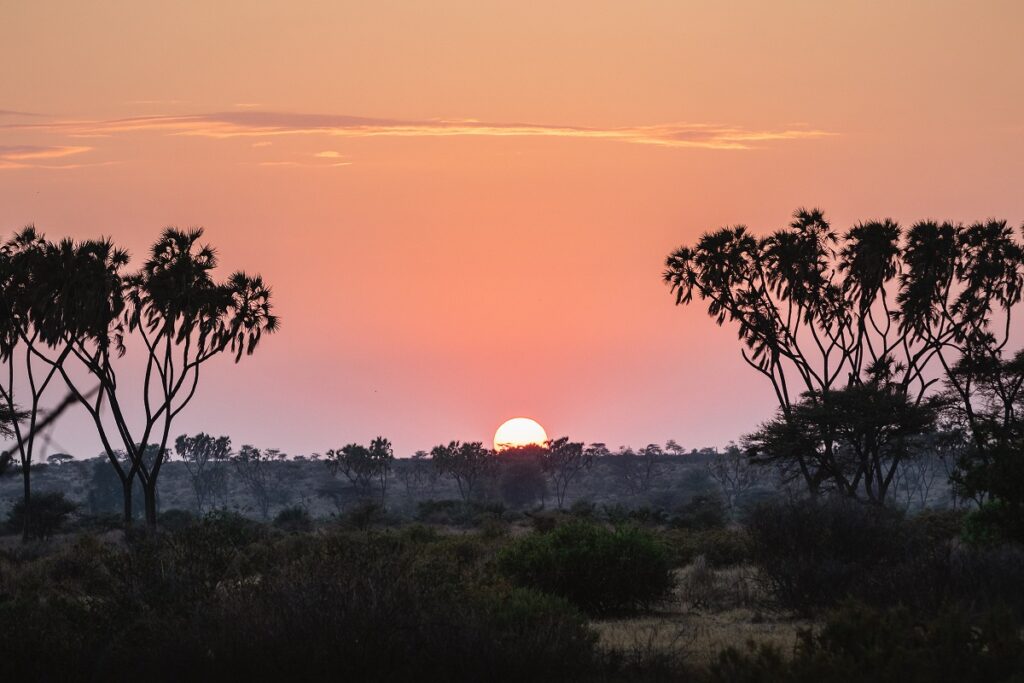 coucher de soleil samburu
