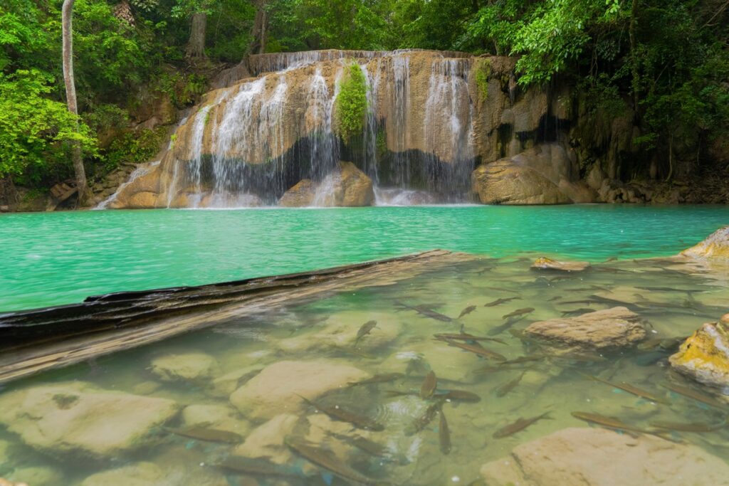 poissons cascade erawan