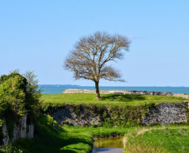 Passez des vacances de rêve sur l'île d'Oléron !