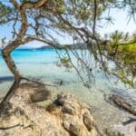 plage de Notre-Dame sur l'île de Porquerolles