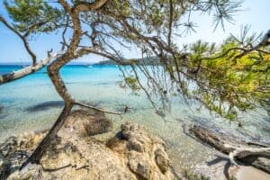plage de Notre-Dame sur l'île de Porquerolles