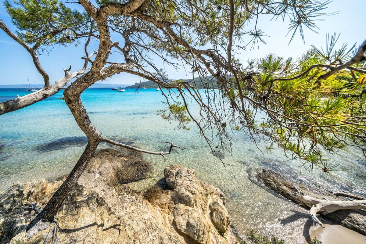 plage de Notre-Dame sur l'île de Porquerolles
