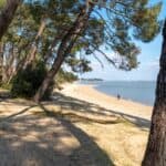 Saint-trojan-les-bains plage sur l'île d'Oléron