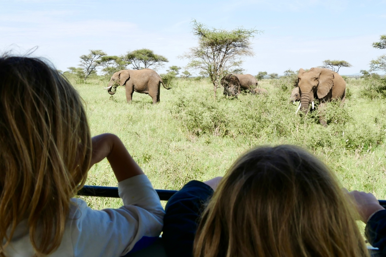 Safari en Tanzanie avec des enfants - TRIP AND TWINS