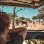 safari en Tanzanie