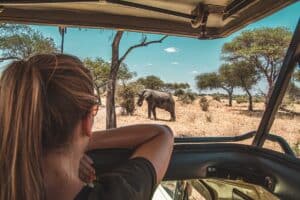 safari en Tanzanie