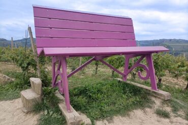 Piquets en Bois Violet - Set de 12 pour Arrangements Floraux Élégants