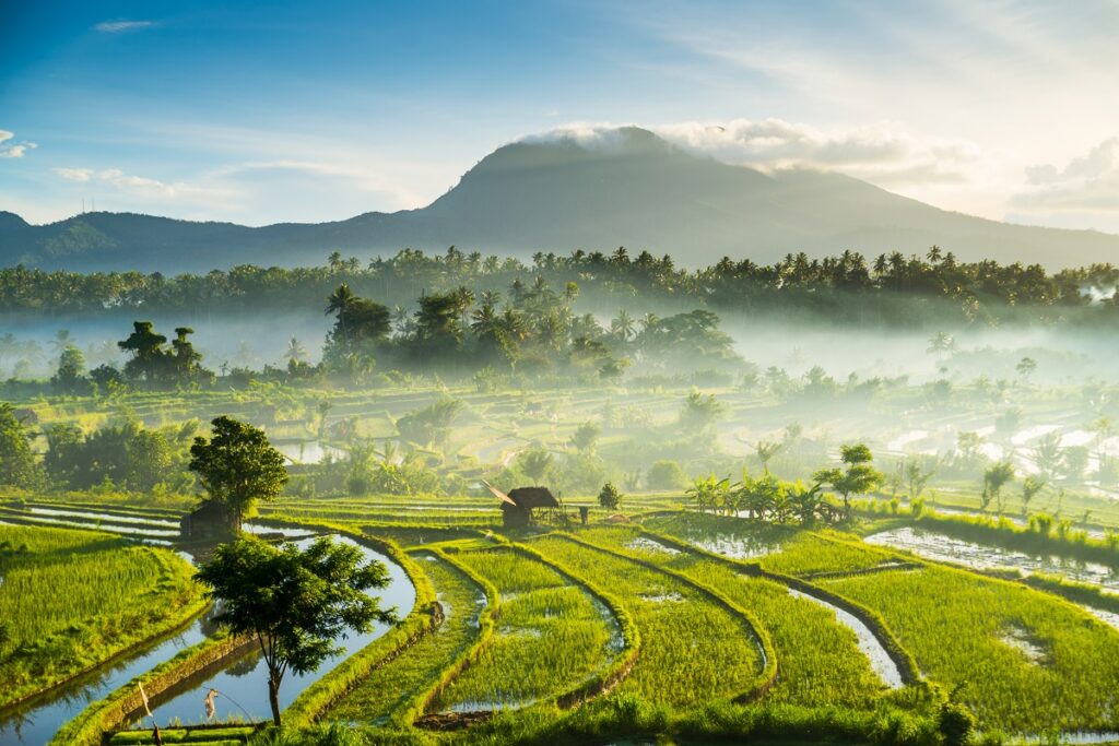 Comment bien préparer votre voyage à Bali