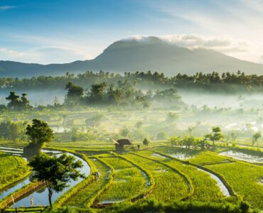 Comment bien préparer votre voyage à Bali