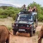 conseils premier safari