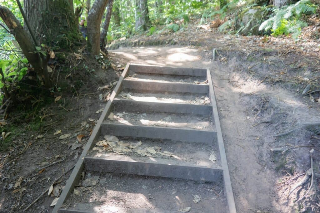 escalier bois forêt