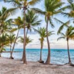 plage de l'Anse Champagne à Saint-François en Guadeloupe