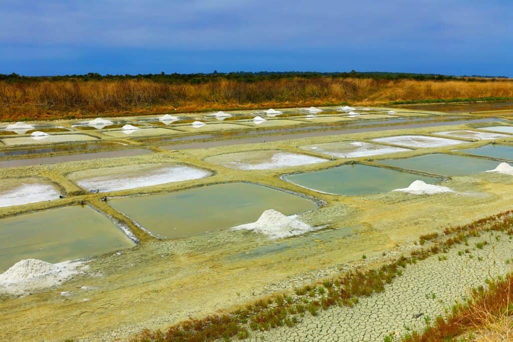 marais salant sur l'île d'Oléron