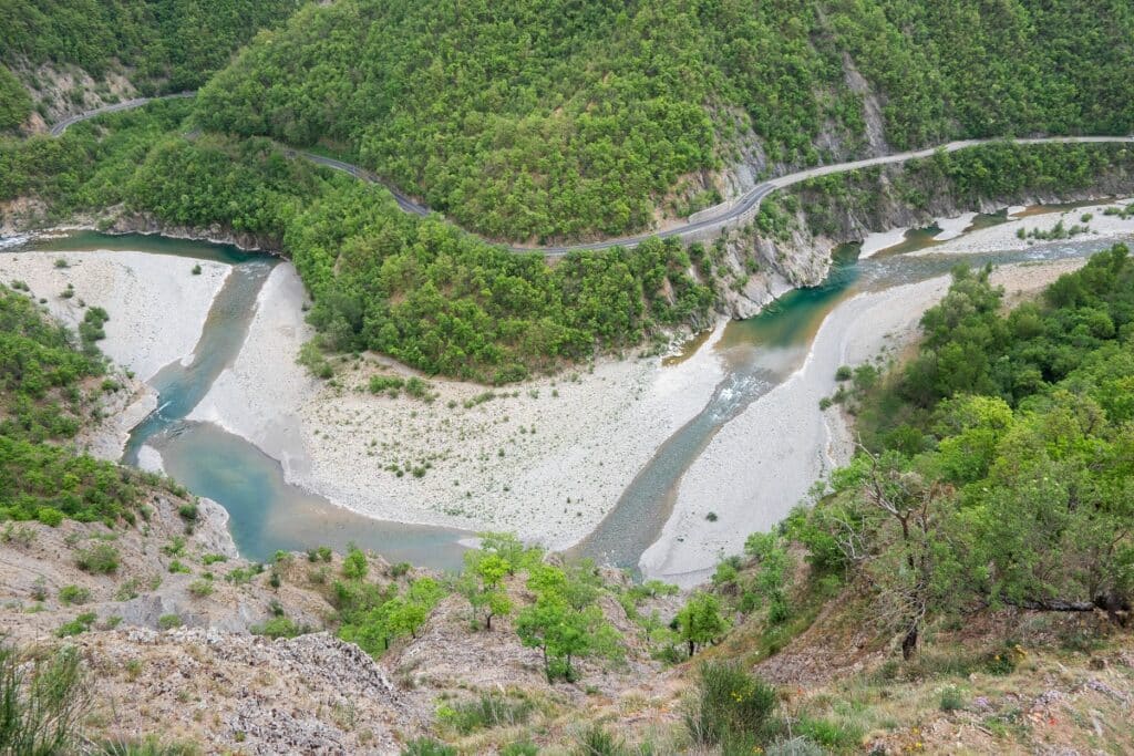 point de vue brugnello