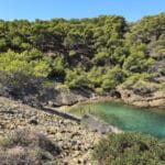 Visite de l'île Verte à La Ciotat