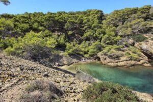 Visite de l'île Verte à La Ciotat