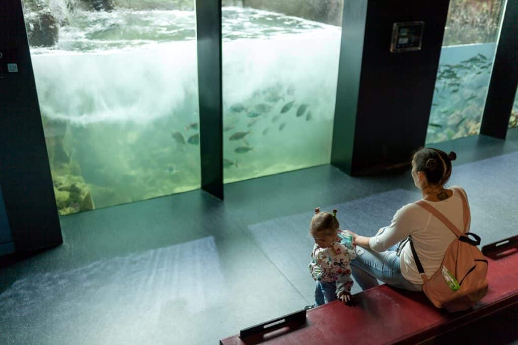 aquarium Océanopolis à Brest