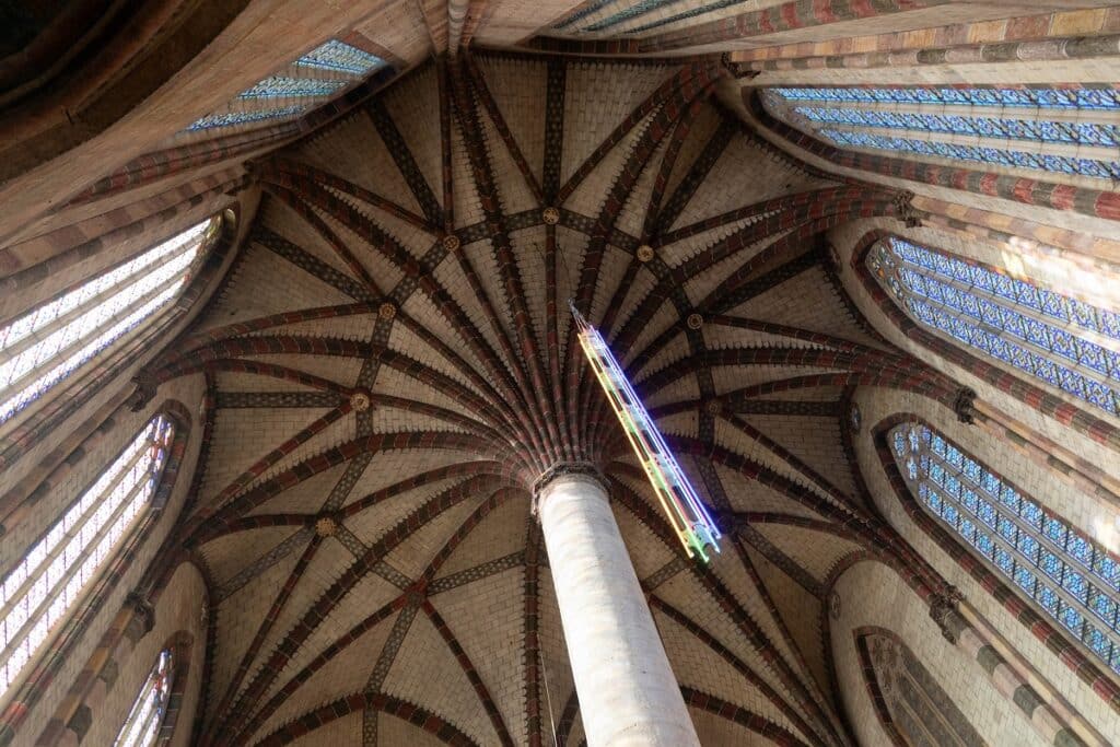 palmier couvent des jacobins