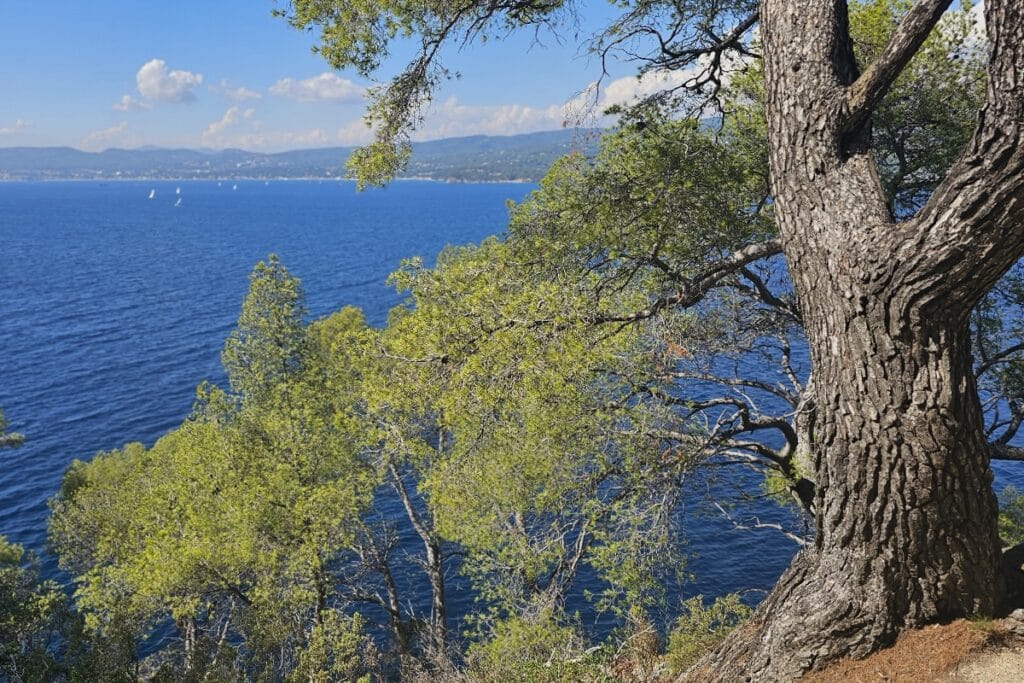 vue depuis la pointe grenier