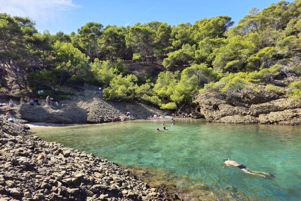 snorkeling ile verte