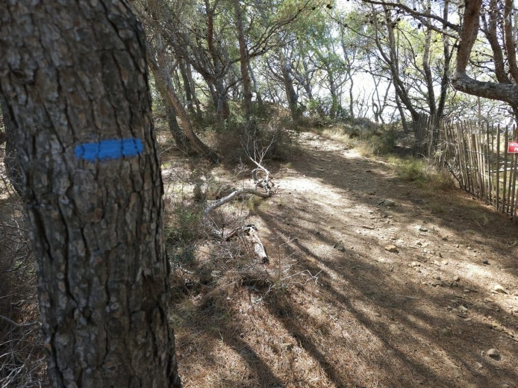 sentier sur l'île verte