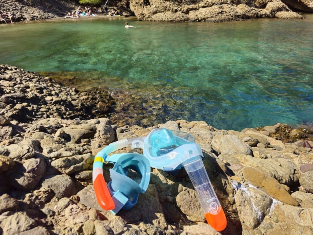 snorkeling plage de seynerolle