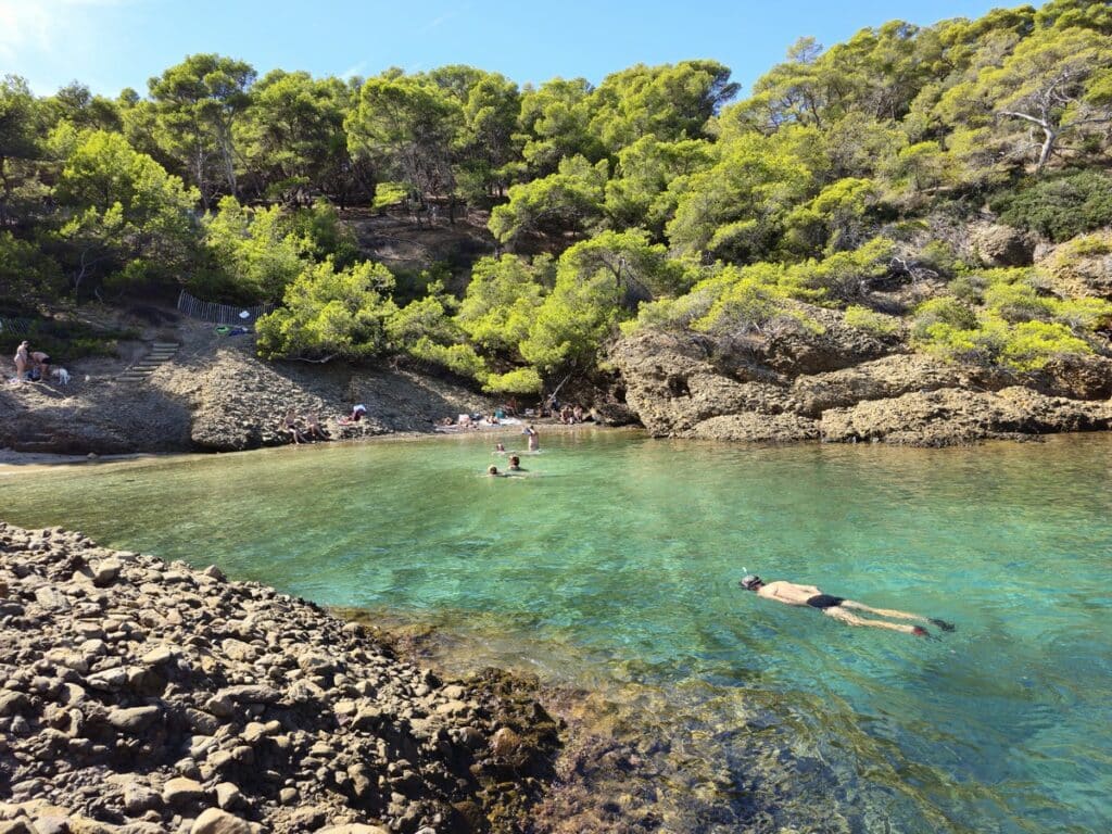 snorkeling ile verte