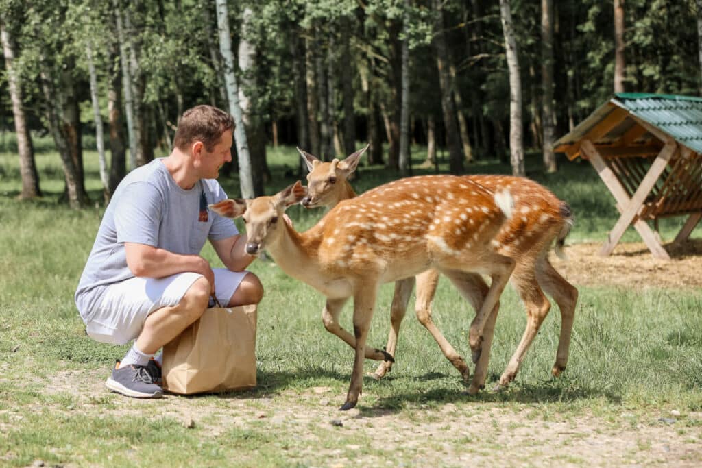 Les meilleures activités pour les passionnés des animaux en France