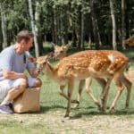 Les meilleures activités pour les passionnés des animaux en France