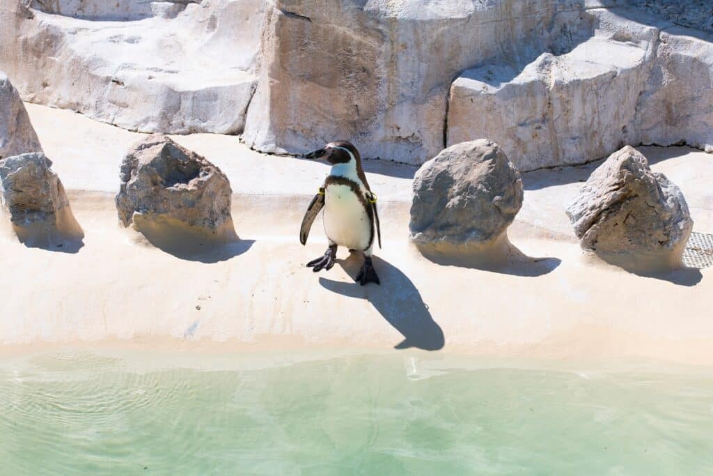 Marineland à Antibes