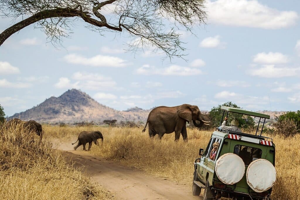 safari voiture