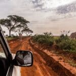 Faire un safari en Ouganda