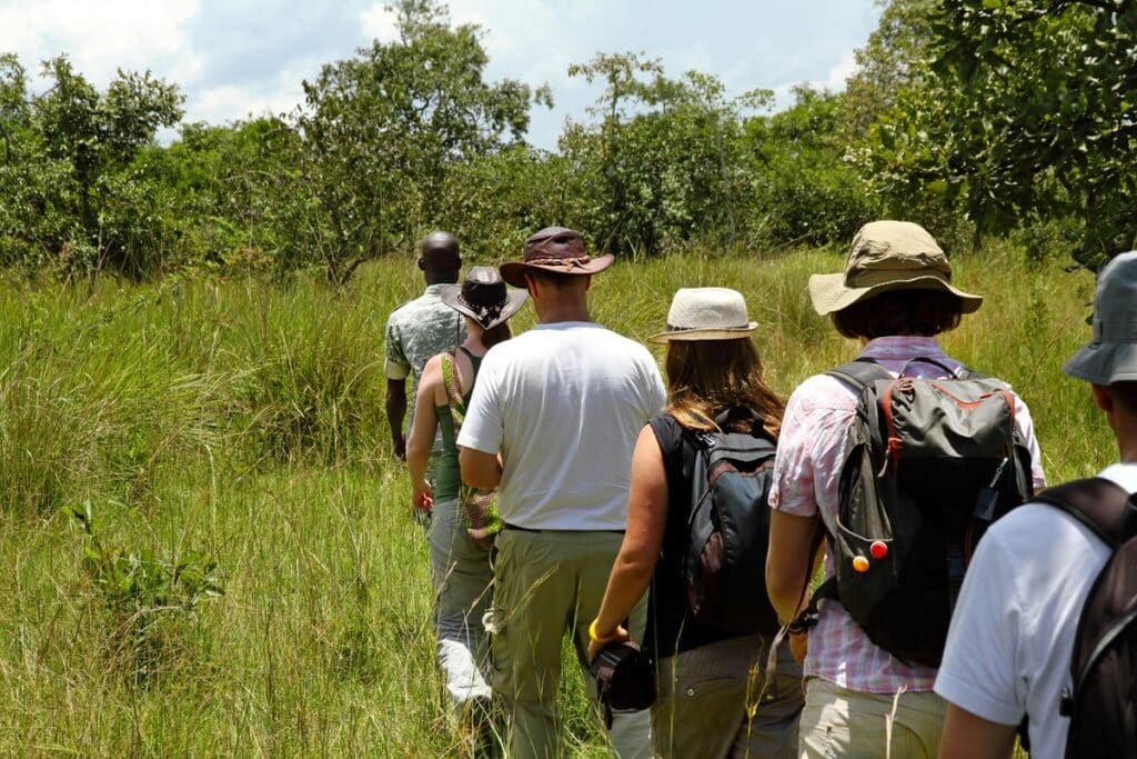 safari à pied en ouganda