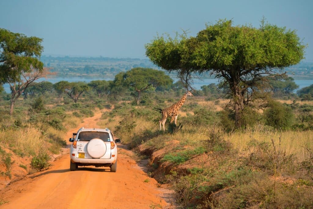safari en jeep en ouganda