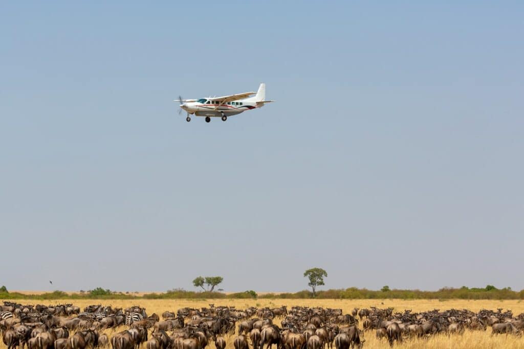 transfert avion ouganda