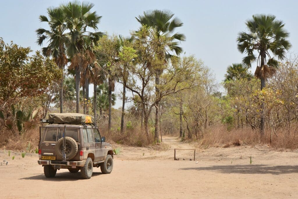 safari voiture parc niokolo koba