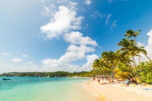 plage en guadeloupe