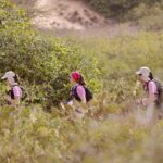 trek rose trip