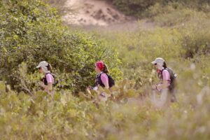 trek rose trip