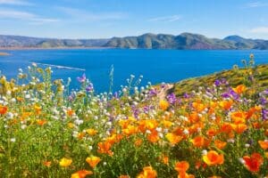 Pourquoi la Californie est-elle une destination de voyage parfaite