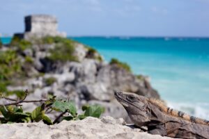 tulum côte