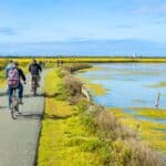 vélos sur l'île de Ré
