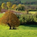 paysage de nature vendéen