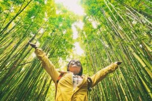 Comment voyager de manière éco-responsable