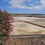 les salines de Janubio