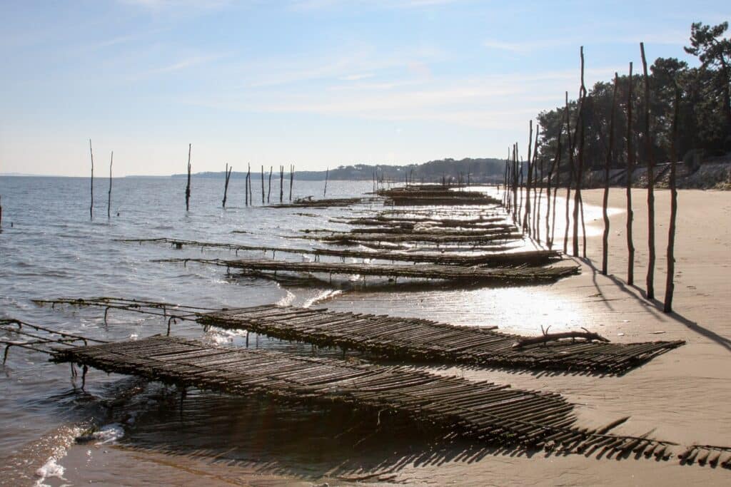 parc à huitres dans le Bassin d'Arcachon