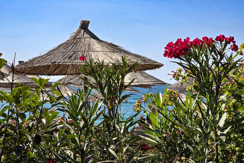 parasols de mango beach