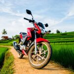 moto dans des rizières en Asie