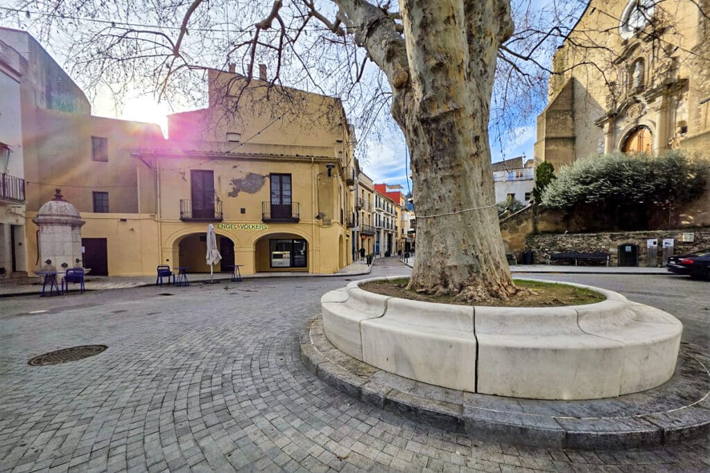 arbre de la liberté de Llança